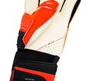 Goalkeeper gloves Puma evoPOWER Grip 1.3 RC with the original signature of Petr Cech
