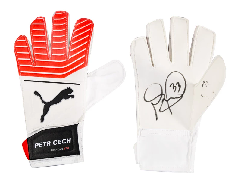 Puma one sales grip 17.4