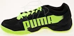 Hallenschuh Puma evoSpeed Indoor 5.2