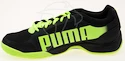 Hallenschuh Puma evoSpeed Indoor 5.2