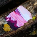 Halsschutz Bjež® Storm HILLS pink