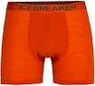 Herren Boxer Shorts Icebreaker  Anatomica Boxers