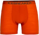Herren Boxer Shorts Icebreaker  Anatomica Boxers