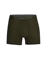 Herren Boxer Shorts Icebreaker  Anatomica Boxers LODEN