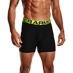 Herren Boxer Shorts Under Armour Tech 6" 2 Pack schwarz Black