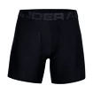 Herren Boxer Shorts Under Armour  Tech 6in 2Pack Black