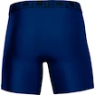 Herren Boxer Shorts Under Armour  Tech 6in 2Pack Blue