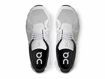 Herren-Freizeitschuhe On Cloud 5 Glacier/White