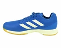 Herren Hallenschuhe adidas