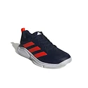 Herren Hallenschuhe adidas  Court Team Bounce 2 Tenabl/Solred