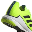 Herren Hallenschuhe adidas  Crazyflight M Luclem