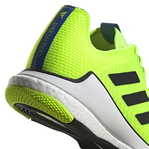 Herren Hallenschuhe adidas  Crazyflight M Luclem