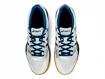 Herren Hallenschuhe Asics