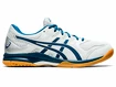 Herren Hallenschuhe Asics