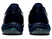 Herren Hallenschuhe Asics