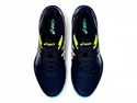 Herren Hallenschuhe Asics