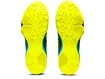 Herren Hallenschuhe Asics