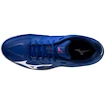 Herren Hallenschuhe Mizuno