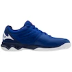 Herren Hallenschuhe Mizuno