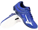 Herren Hallenschuhe Mizuno