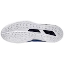 Herren Hallenschuhe Mizuno