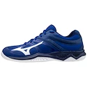 Herren Hallenschuhe Mizuno