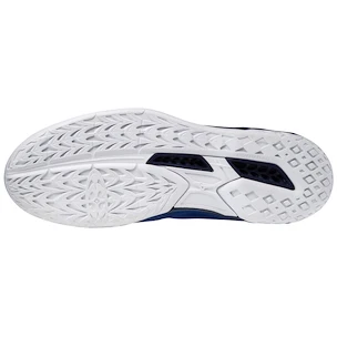 Herren Hallenschuhe Mizuno