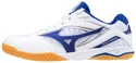 Herren Hallenschuhe Mizuno  Wave Drive 8 White/Blue