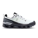 Herren Hallenschuhe On Cloudwander Cloudwander Waterproof Glacier/Eclipse