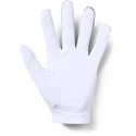 Herren Handschuhe  Under Armour  Medal Golf Glove grey LLG