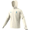 Herren Hoodie adidas