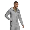 Herren Hoodie adidas Aeroready Designed 2 Move Sport Motion Logo Medium Grey Heather