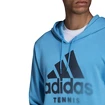 Herren Hoodie adidas  Category Graphic Hoodie Blue