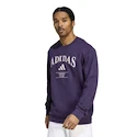 Herren Hoodie adidas  Heritage Graphic Crew Sweatshirt