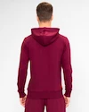 Herren Hoodie BIDI BADU  Protected Leafs Chill Hoody Bordeaux