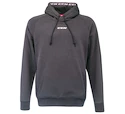 Herren Hoodie CCM  Team Fleece Pullover Hoodie Dark Grey