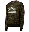Herren Hoodie Fanatics