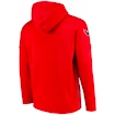 Herren Hoodie Fanatics