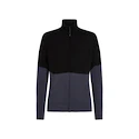 Herren Hoodie Icebreaker Merino 400 RealFleece Descender LS Z Black/Graphite/Cb XL