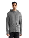 Herren Hoodie Icebreaker  Quantum III LS Zip Hoodie Metro/Black