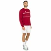 Herren Hoodie Tecnifibre  Club Sweater Cardinal