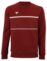 Herren Hoodie Tecnifibre  Club Sweater Cardinal