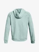 Herren Hoodie Under Armour