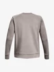 Herren Hoodie Under Armour