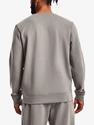 Herren Hoodie Under Armour