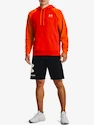 Herren Hoodie Under Armour