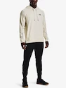 Herren Hoodie Under Armour