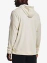 Herren Hoodie Under Armour