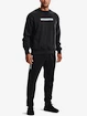Herren Hoodie Under Armour