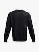 Herren Hoodie Under Armour